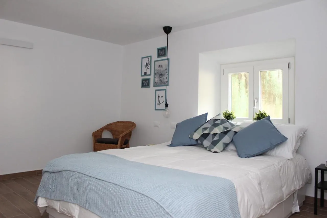 Art Apartment Borgo Stella Florence Italy